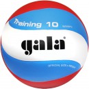 Мяч волейбольный "GALA" Training 10 синт. кожа ПУ р.5