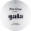 Мяч волейбольный "GALA" Pro-Line Competition нат. кожа р.5