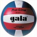 Мяч волейбольный"GALA" Pro-Line Colour нат.кожа р.5
